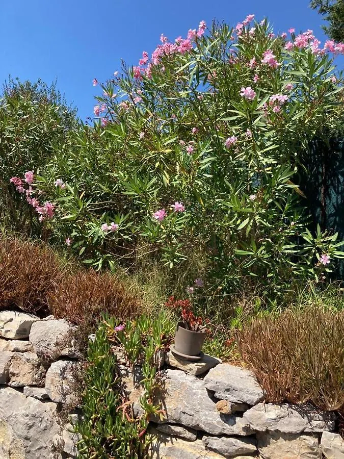 Lone Star House Bed & Breakfast Sainte-Maxime France