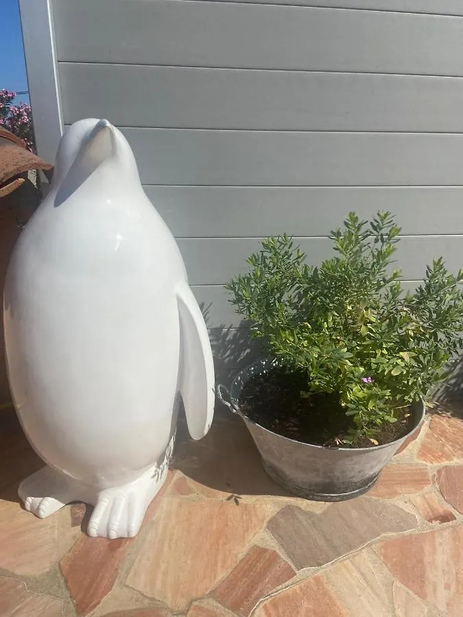 Lone Star House Bed & Breakfast Sainte-Maxime 4*,  France
